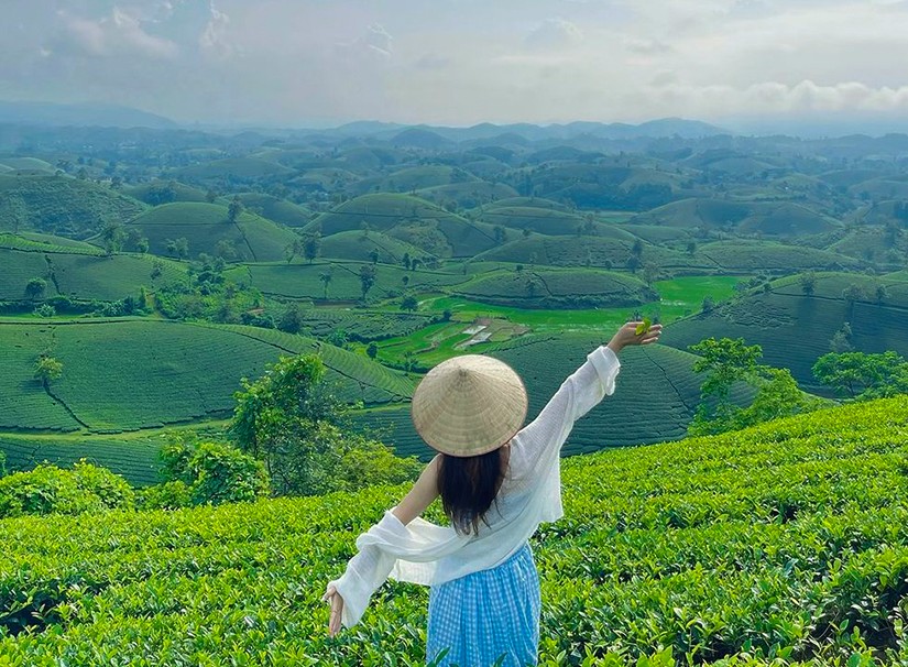 Tour Miền Bắc: Hà Nội - Mộc Châu - Phú Thọ - Bản Cỏi - Đồi Chè Long Cốc 4 ngày 3 đêm