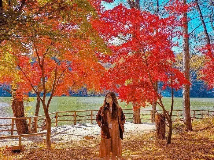 Vườn l&aacute; phong Baekpungmilwon đảo nami.jpg