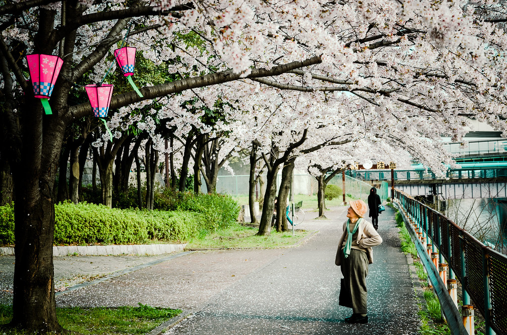 Arakogawa Park.jpg