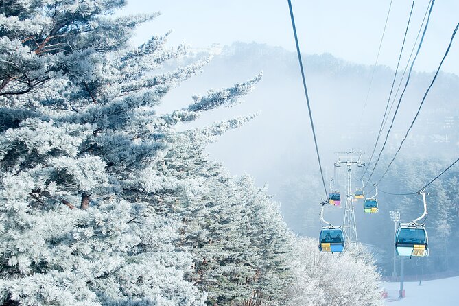 Muju Deogyusan Ski Resort.jpg