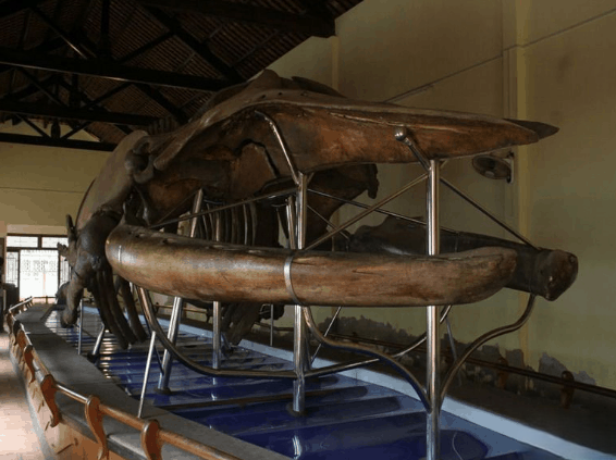 Lăng &Ocirc;ng Thủy Tướng.png