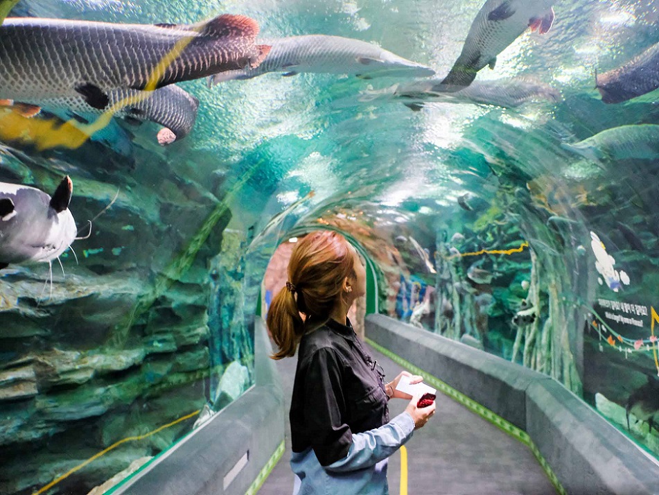 Lotte-Aquarium-H&agrave;n- Quốc.jpg