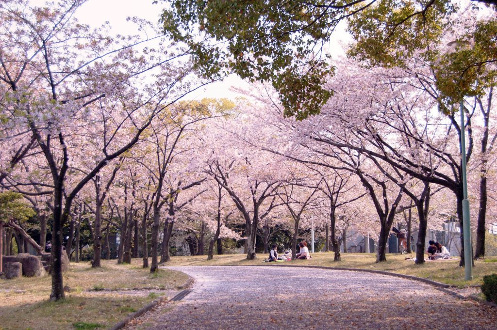 arakogawakoen.jpg