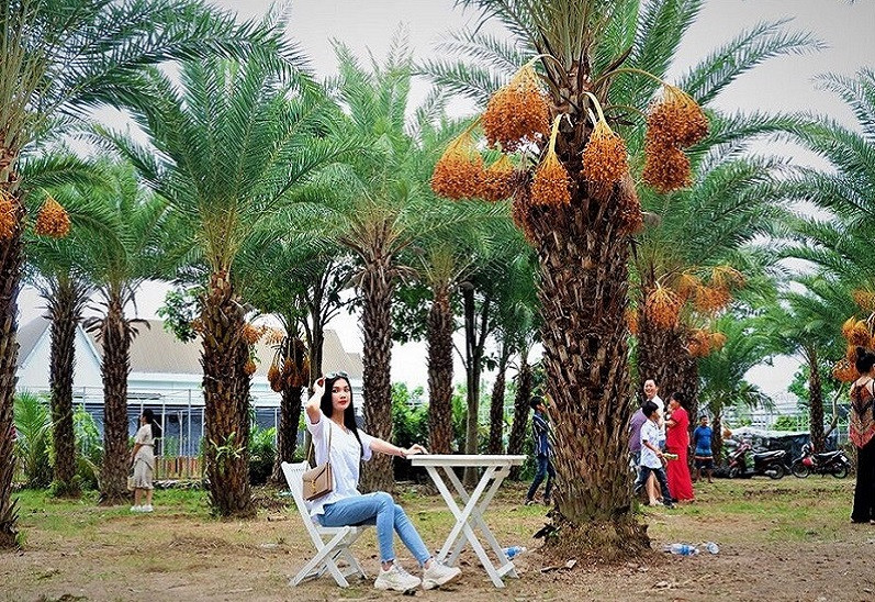 Quán cà phê Tamara Sa Đéc.jpg