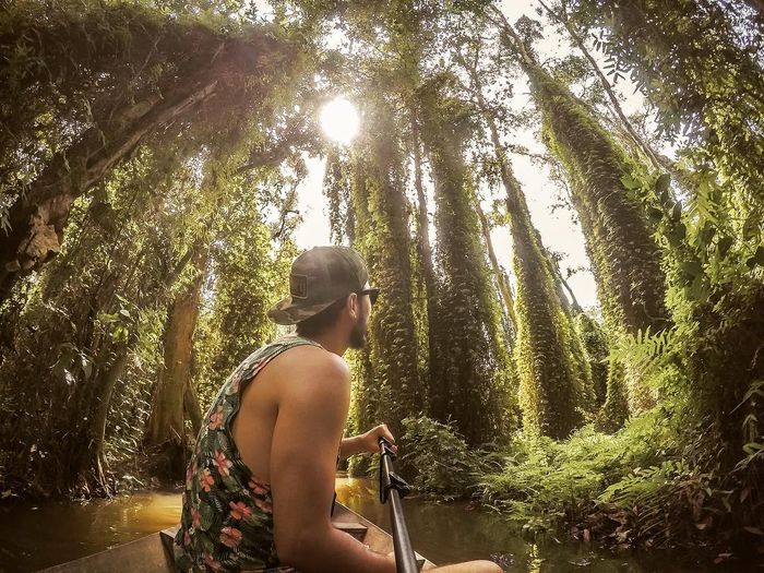 rừng tràm-gao-giong.jpg