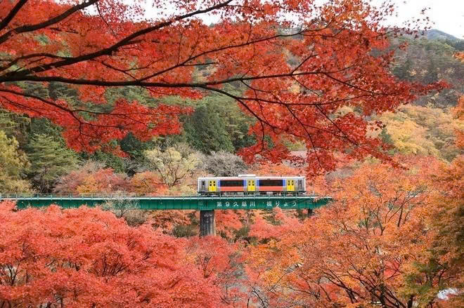 Tour Mùa Thu Nhật Bản: Nagoya - Làng Cổ Shirakawago - Kurobe - KyoKoKu - Yamanashi - Núi Phú Sĩ - Tokyo
