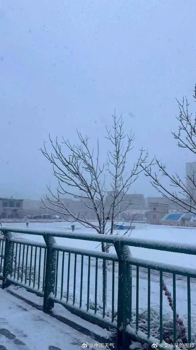 tuyết đầu m&ugrave;a c&aacute;p nhĩ T&acirc;n.jpg