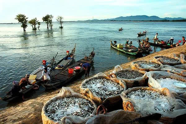 miền tây mùa nước nổi.jpg