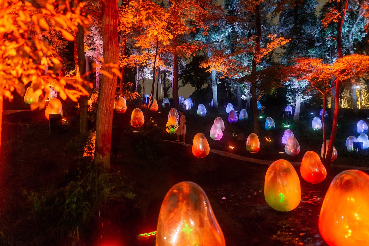teamlab-gardens-osaka.jpg