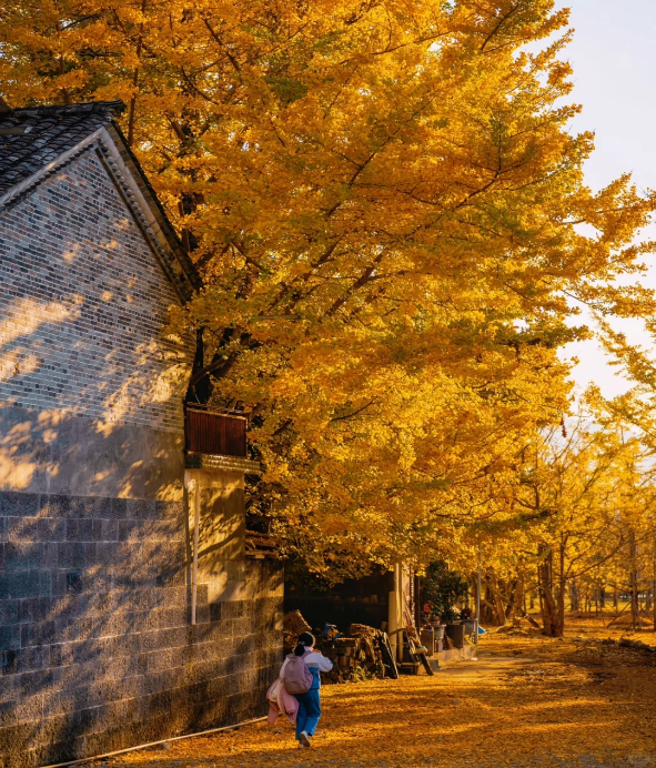 lang bach qua dang xung.png