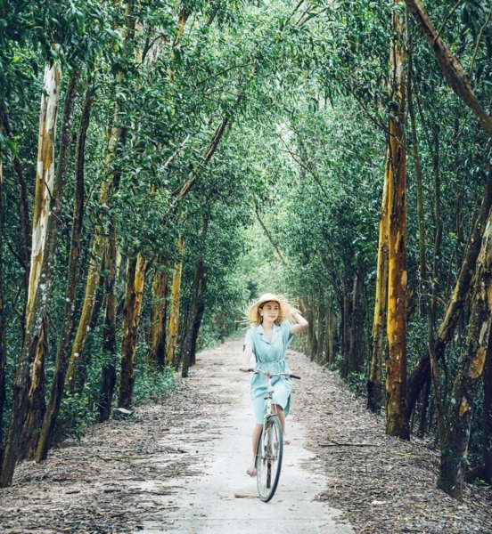 đạp xe xuy&ecirc;n rừng Tr&agrave; Sư.jpg