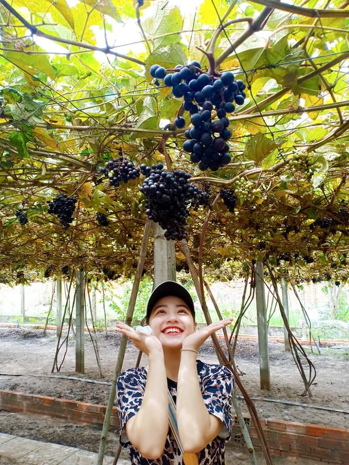 check-in-tai-vuon-nho-rung-tay-ninh.jpg
