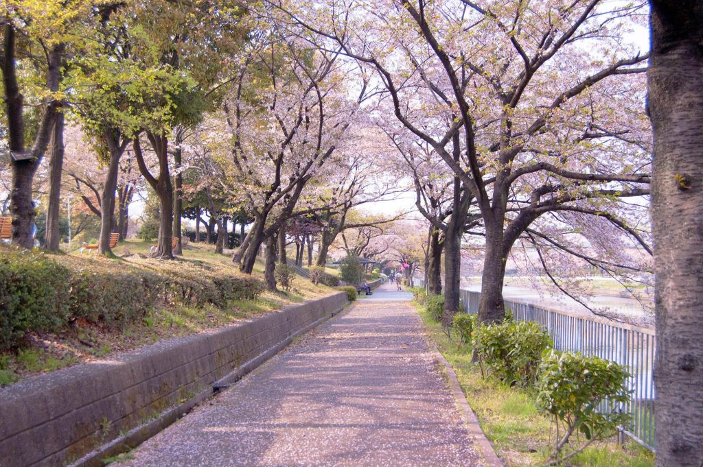 arakogawakoen - nhật.jpg