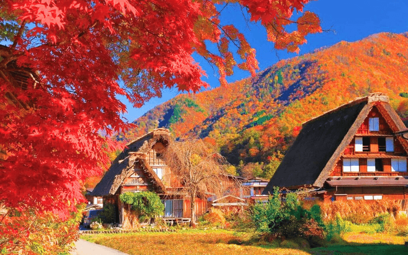 lang-shirakawago.png