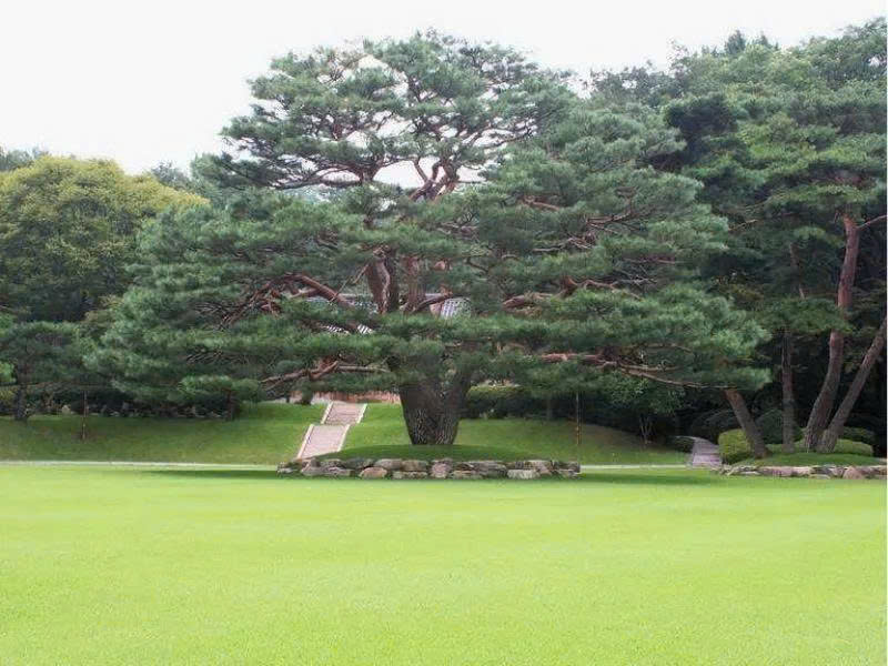 Nokjiwon nha xanh.jpg