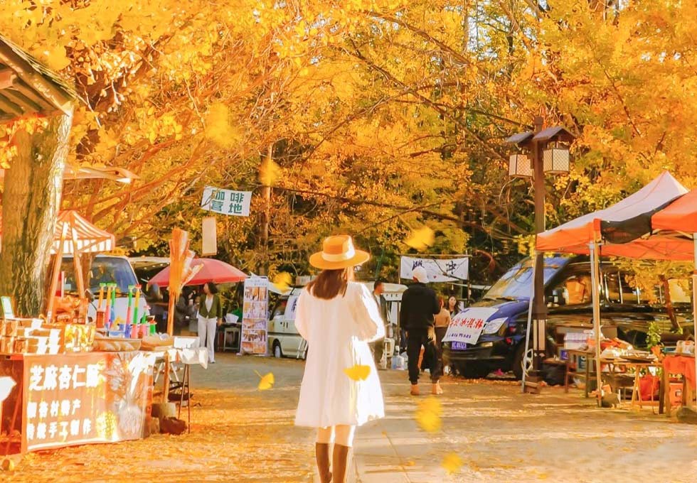 Du lịch Trung Quốc: Côn Minh - Đằng Xung - Làng Ngân Hạnh - Suối Nước Nóng Nhiệt Hải - Hòa Thuận Cổ Trấn