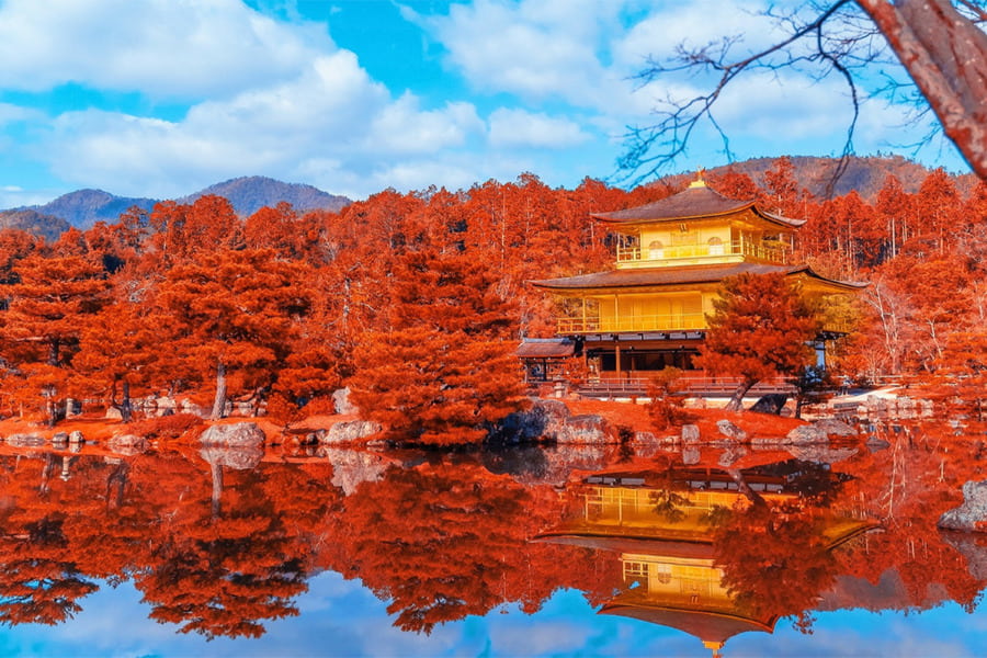 kinkakuji-mùa-thu.jpg