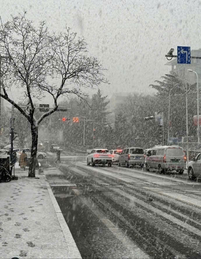 tuyet dau mua cap nhi tan.jpg