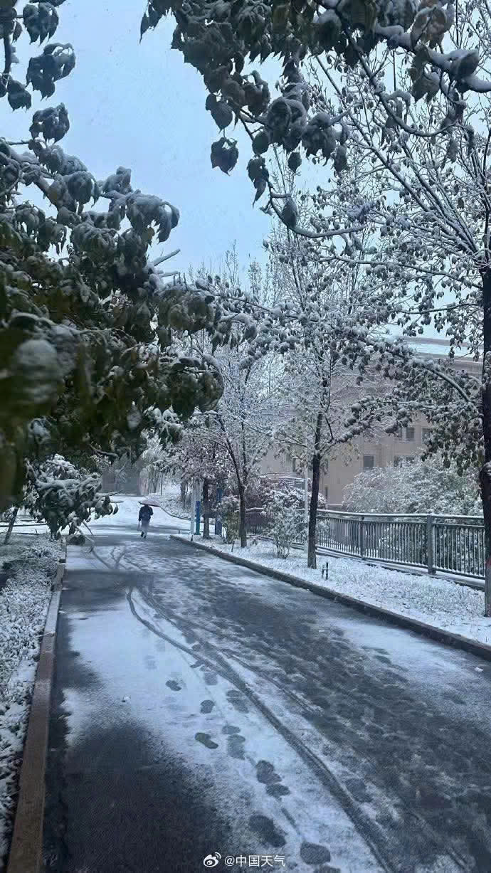 cham mua dong cap nhi tan.jpg