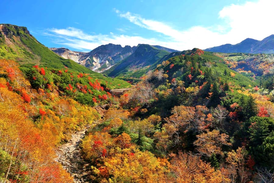 Núi Kurodake (黒岳).jpg