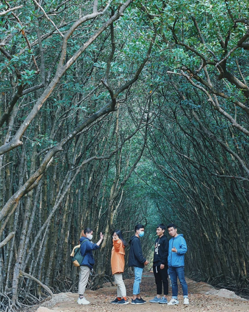 rừng-s&aacute;c-cần-giờ.jpg