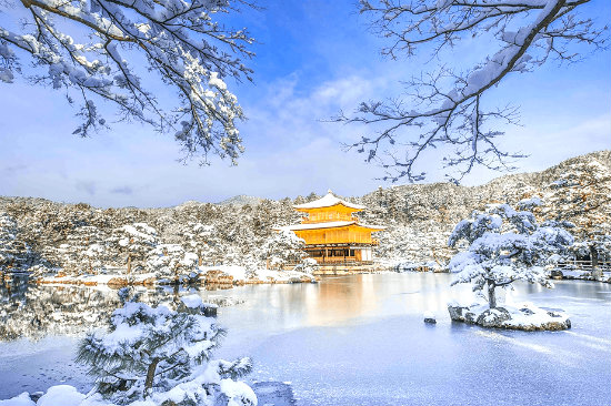 Tour Nhật Bản mùa Đông Tết dương lịch: Osaka - Kobe - Kyoto - Yamanashi - Núi Phú Sĩ - Tokyo bay Vietnam Airline