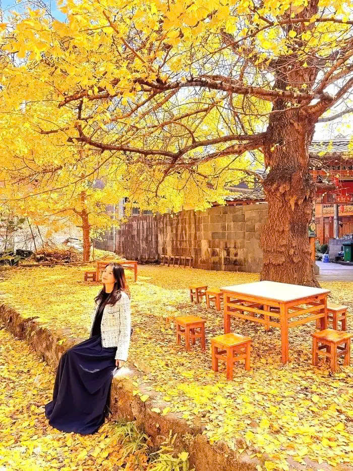 làng ngan hạnh đằng xung.jpg